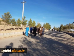 برگزاری پیاده روری به مناسبت هفته تربیت بدنی 3