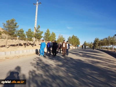 برگزاری پیاده روری به مناسبت هفته تربیت بدنی