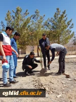 روز درختکاری 2