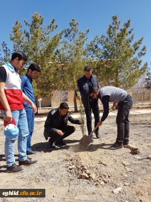 روز درختکاری