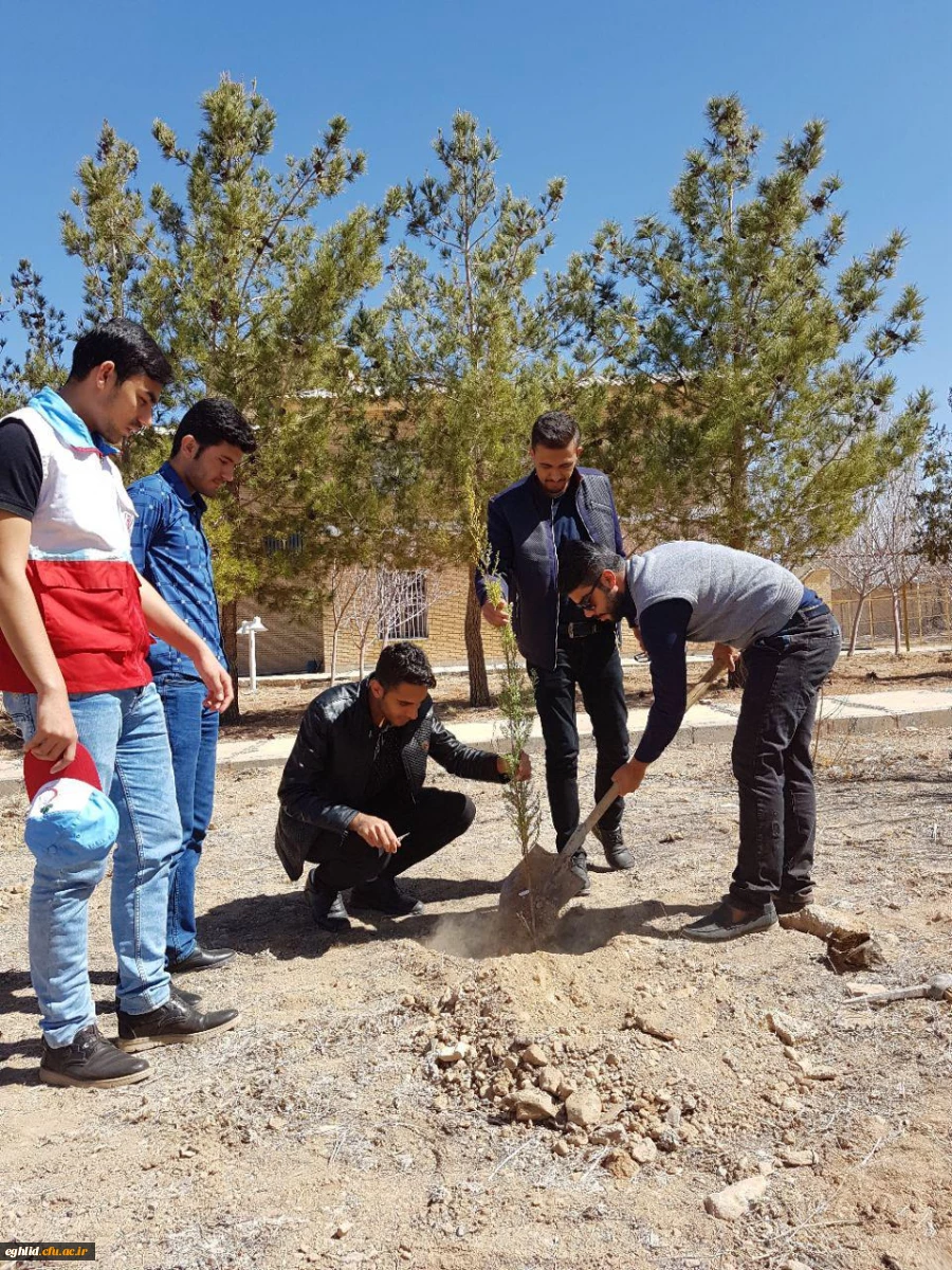 روز درختکاری 2