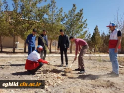 روز درختکاری 3