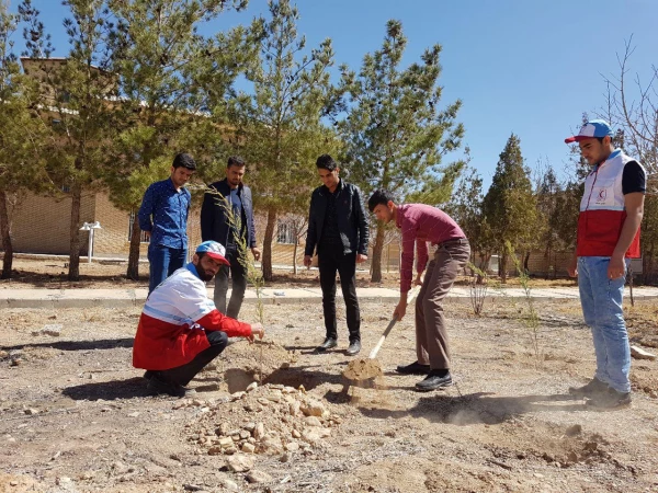 روز درختکاری 3