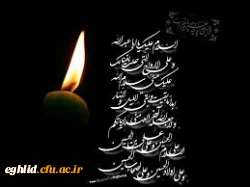 السلام علیک یا اباعبدالله 3