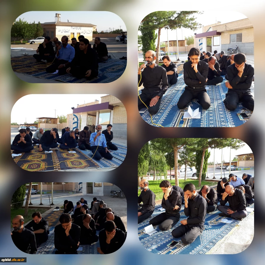 برگزاری زیارت عاشورا 5