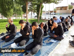 برگزاری زیارت عاشورا 4