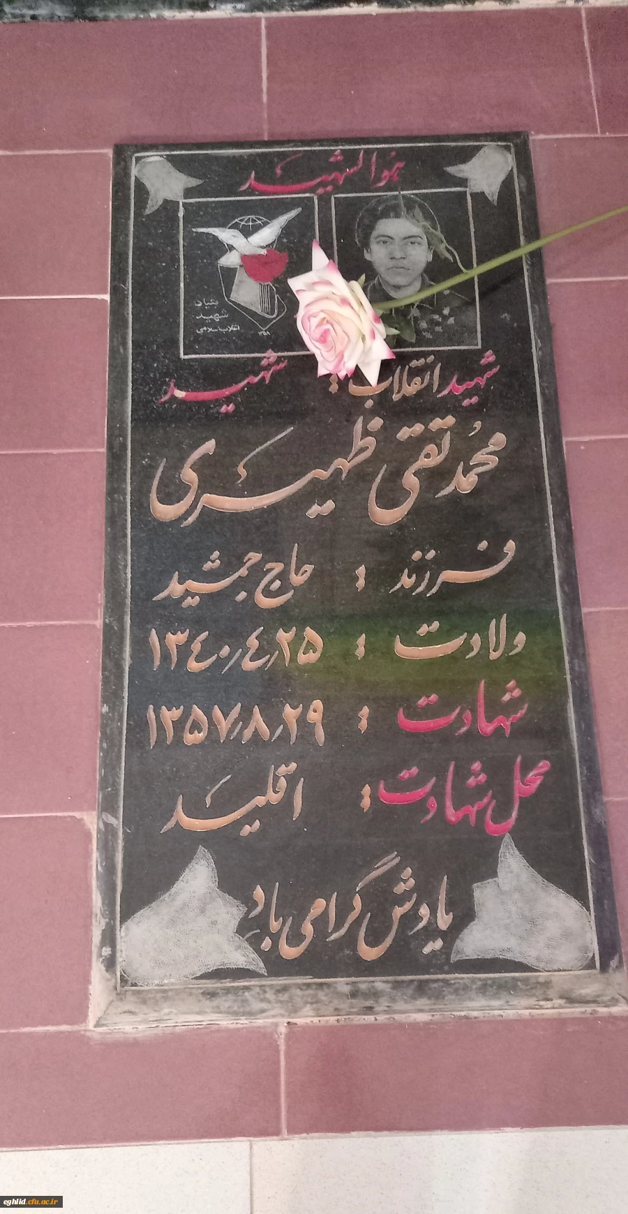 مراسم تجدید میثاق با شهدا 5