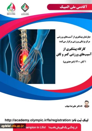 کارگاه " پیشگیری از آسیب های ورزشی کمر و لگن " آکادمی ملی المپیک