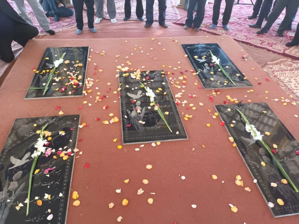 WhatsApp Image 2022-02-09 at 11.54.35