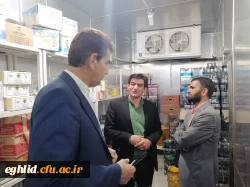 بازدید دکتر احمدی  مدیر کل نظارت و تعالی سازمانی دانشگاه فرهنگیان از مرکز شهید بهشتی اقلید  4