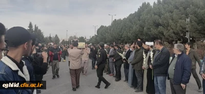 آئین معنوی و باشکوه استقبال از شهید گمنام در شهرستان اقلید برگزار شد