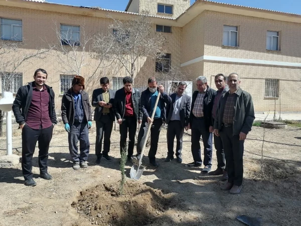 برنامه شادی پیمایی و درخت کاری کارکنان مرکز شهید بهشتی برگزار شد 3