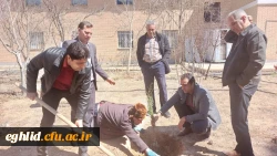 برنامه شادی پیمایی و درخت کاری کارکنان مرکز شهید بهشتی برگزار شد 9