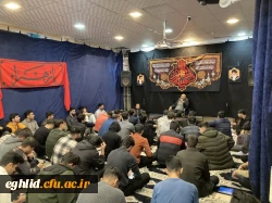 سلسله کارگاه های آشیانه مهر با سخنرانی دکتر فرهنگ دکترای روانشناسی تربیتی از دانشگاه هاروارد آمریکا 3