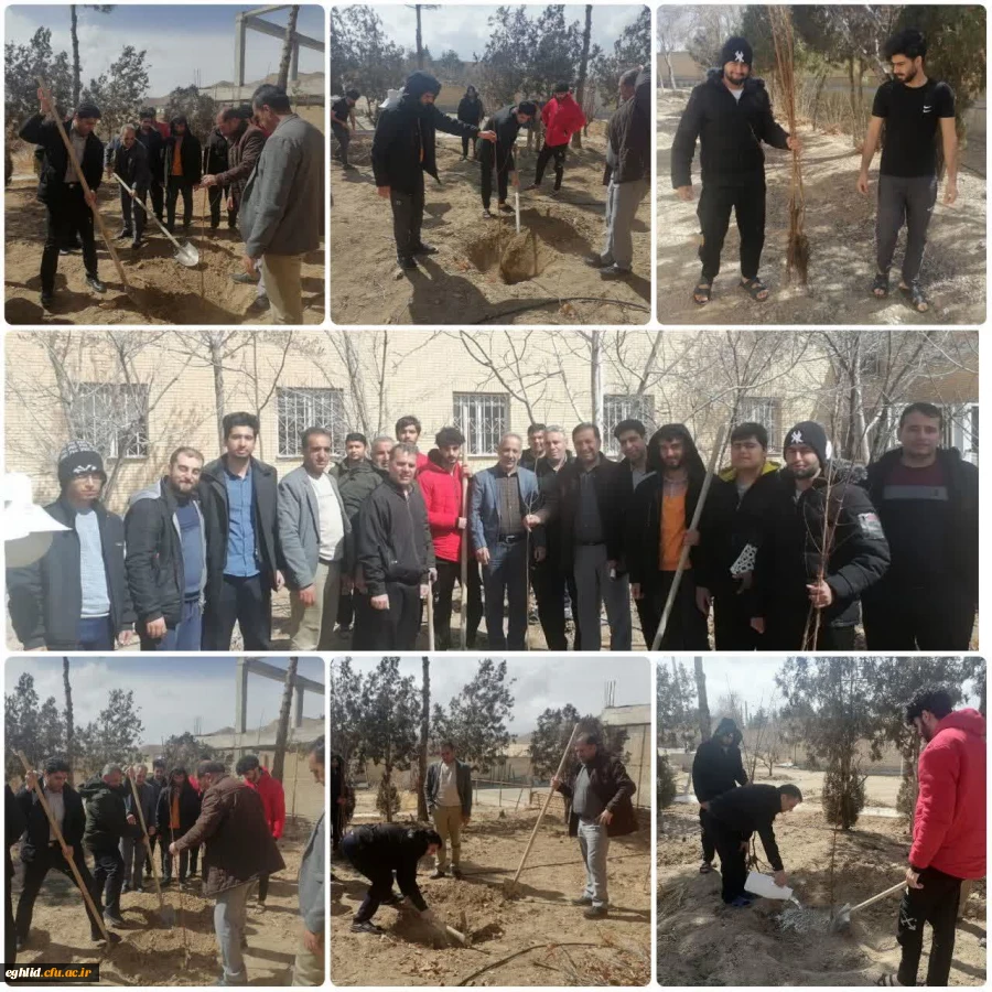 روز درختکاری 2