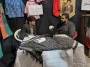 گزارش ارائه خدمات مشاوره ای در موکب شهید بهشتی اقلید